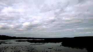 Time Lapse of Salt Marsh Tide and Afternoon Clouds