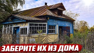 Почему их бросают!? | Орловская обл, Колпнянский р-он д.Черниково