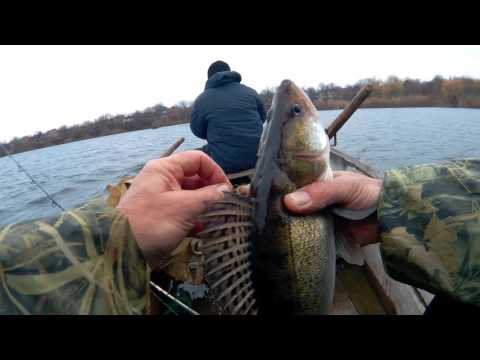 Рыбалка. Щука, судак сом. Ноябрь 2016