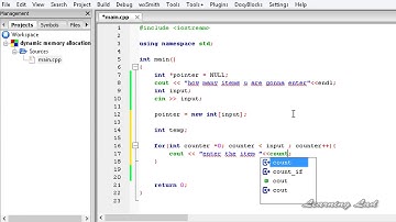 046  Dynamically Allocating Arrays Depending on User Input in C++   CPP Programming Video Tutorial