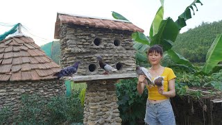 Build a stone house for bird's nest - Simple technique of cement with stone - Green forest farm life