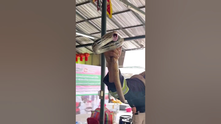 Skill Menangkap Ular Yang Luar Biasa (@pinyothesnakewrangler) #shorts