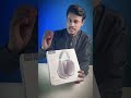HOCO W35 MAX | Ekota.com | #viral