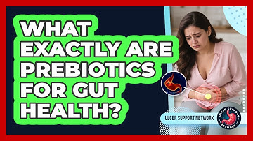 What Exactly Are Prebiotics For Gut Health?