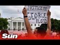 Live: Protesters gather near White House calling for justice George Floyd's death