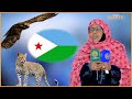 Somaliland oo haad garabka ka jabay u dirtey jabuuti si loogu soo kabo