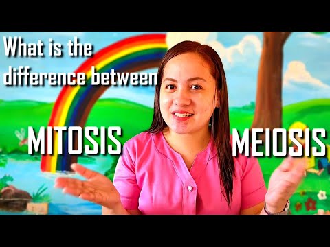 Video: Aling yugto ng meiosis I ang pinakakatulad sa maihahambing na yugto sa mitosis?