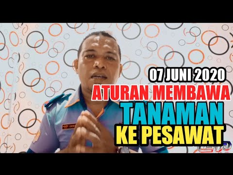 Video: Apa itu tanaman menunggang?