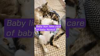 Sleeping Ngankang Ala Baby Nomot 2 So Cute