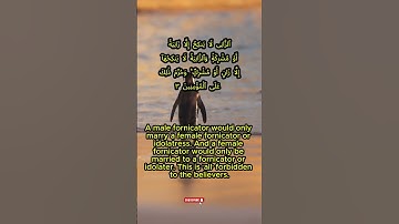 سورة النور من اية 3- 4