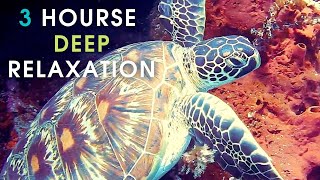3 hours music for deep relaxation and meditation, the best music for sleep!