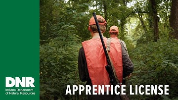 The Apprentice License