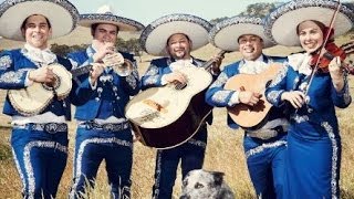 Australia Day  Celebrate Your Way 2