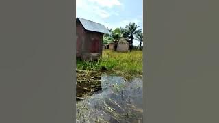 Mgumile Kigoma/Ujiji iliyopo Mkoani Kigoma