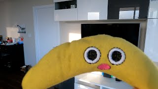 Siberian kitty viciously attacks banana by chenbagel 1,591 views 2 years ago 3 minutes, 54 seconds