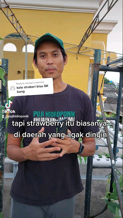 Tanaman Buah Strawberry dengan hidroponik bisa gak sih? #hidroponik #stawberry #strawberry