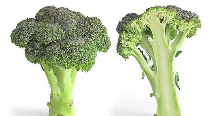 Dr. Diane Sutter and her rant about Calcium and wo...