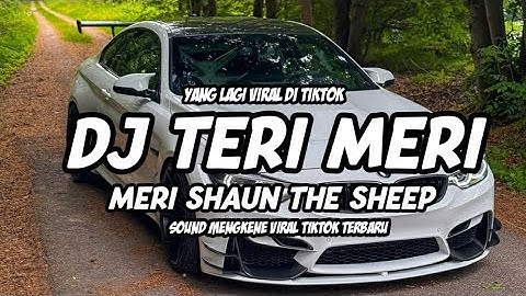 TERI MERI VELOCITY KOPLO KENDANG || DJ TERI MERI SHAUN THE SHEEP TRENDING TIKTOK 2025