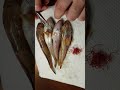 Красные черви паразиты в рыбе Николаев