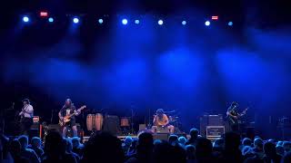 THE SCRATCH - Gladrags LIVE in Berlin