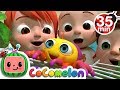 Itsy Bitsy Spider + More Nursery Rhymes & Kids Songs - CoComelon