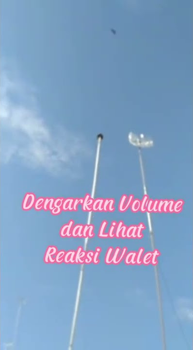 Rahasia Setingan Volume Pjw Agar walet kiss kiss Tweeter