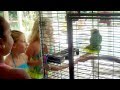 Paco, the party parrot, tells the girls to &quot;C&#39;mon dance!&quot;