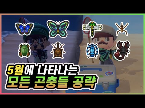 모여봐요 동물의 숲 특이한 조건의 곤충 잡는 방법 제비나비 도롱이벌레부터 파리 거미까지 mp3 모여봐요 동물의 숲 특이한 조건의 곤충 잡는 방법 제비나비 도롱이벌레부터 파리 거미까지 Mp3