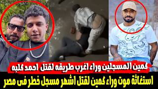  البلطجى احمد كلبه تحول لبطل شعبى  مقت   ل اشهر مسجل خطر فى مصر وعلاقته بمطرب المهرجانات عصام صاصا - اسمعها