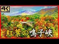 紅葉の鳴子峡 (宮城県大崎市) ＜絶景ドローン空撮 4K高画質＞ Japanese landscap