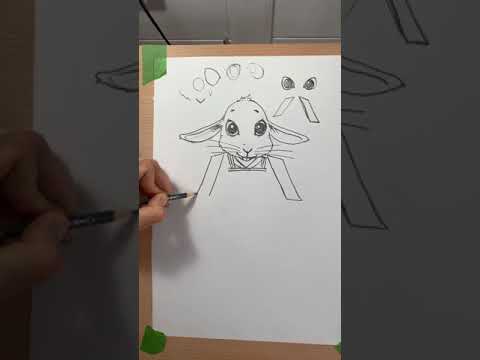 Drawing for kids 2
