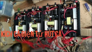 Kích cá điện tử 10 fet đi bộ và 1 vợt sông kênh rạch ll điện tử Lê phi