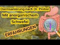 Darmsanierung nach Dr. Probst mit anorganischem Schwefel | Erfahrungen