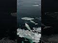 What did NASA find in the ocean?
