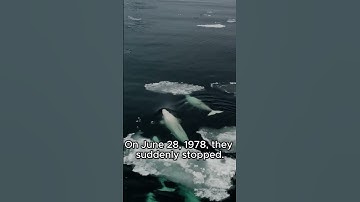 What did NASA find in the ocean?