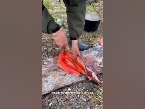 Как сделать юколу? - YouTube