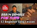 Learn Pink Floyd Brain Damage easy Beginner song guitar lesson