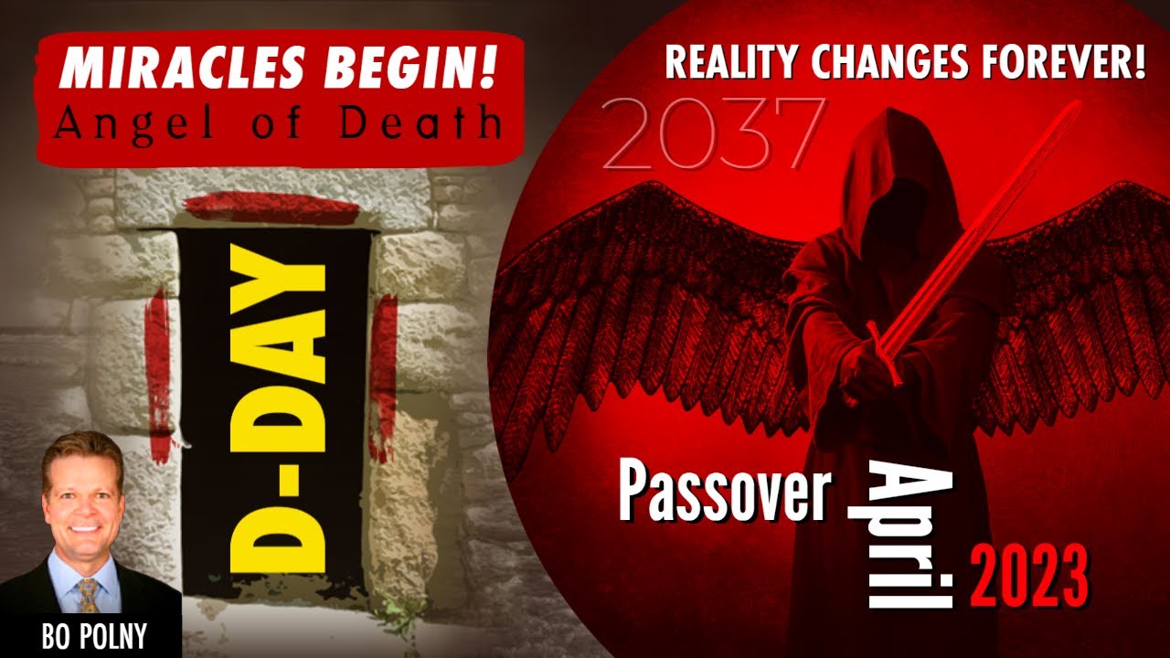 Bo Polny DDay, 2023 MIRACLES, Reality Changes Forever!! YouTube