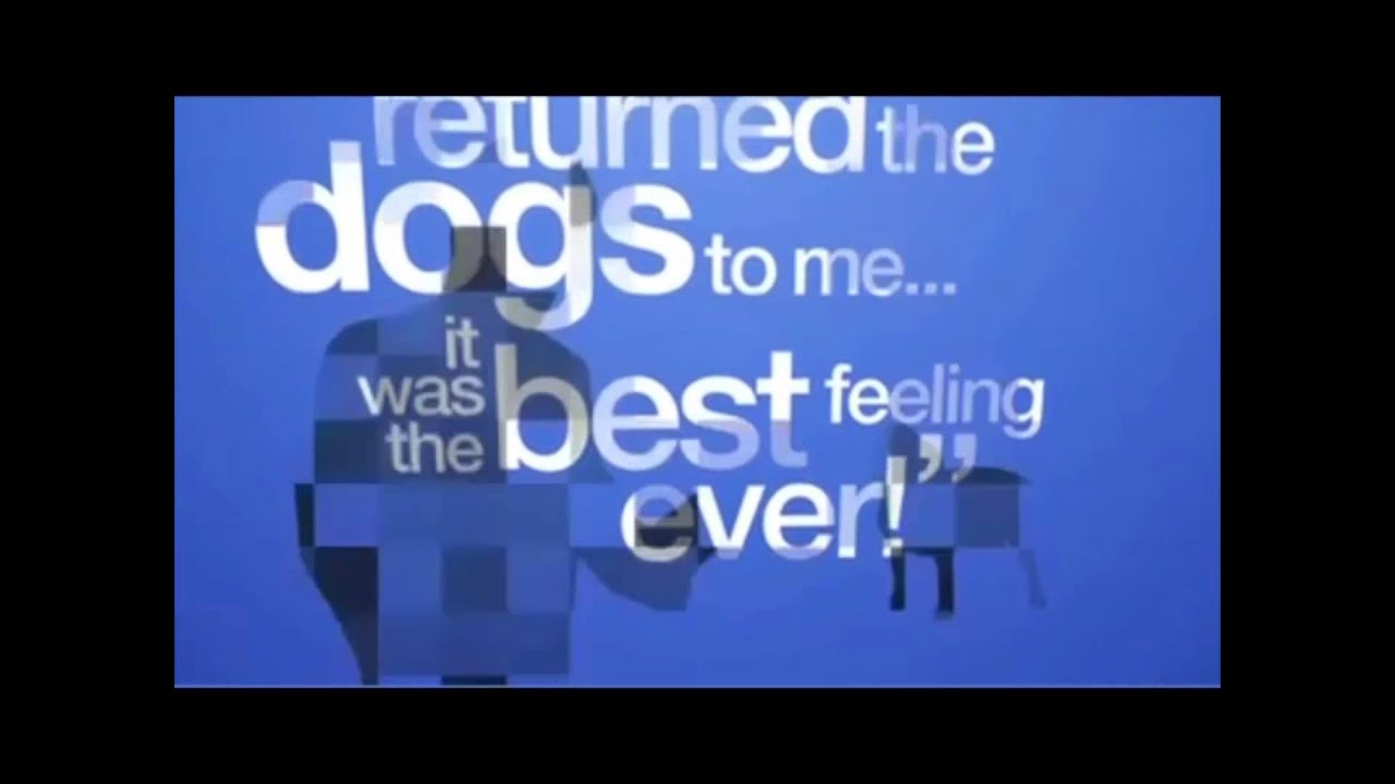 BarkCode QR Code Pet ID Tags - No Smartphone Needed! - YouTube