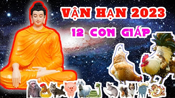 Vận Hạn của 12 Con Giáp trong năm 2023 chi tiết - Vận Hạn 2023 #vận #hạn #năm2023 @Luangiai12congiap