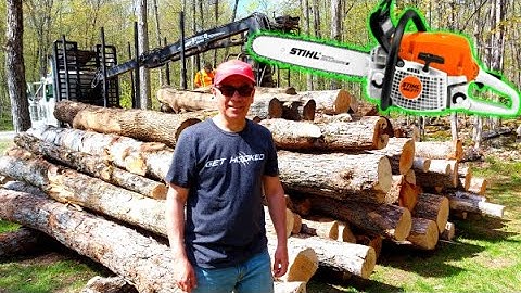 Big Logging Truck Load of Firewood Delivered | Unloading Log Truck
