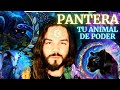 Animal de Poder Pantera y su significado espiritual