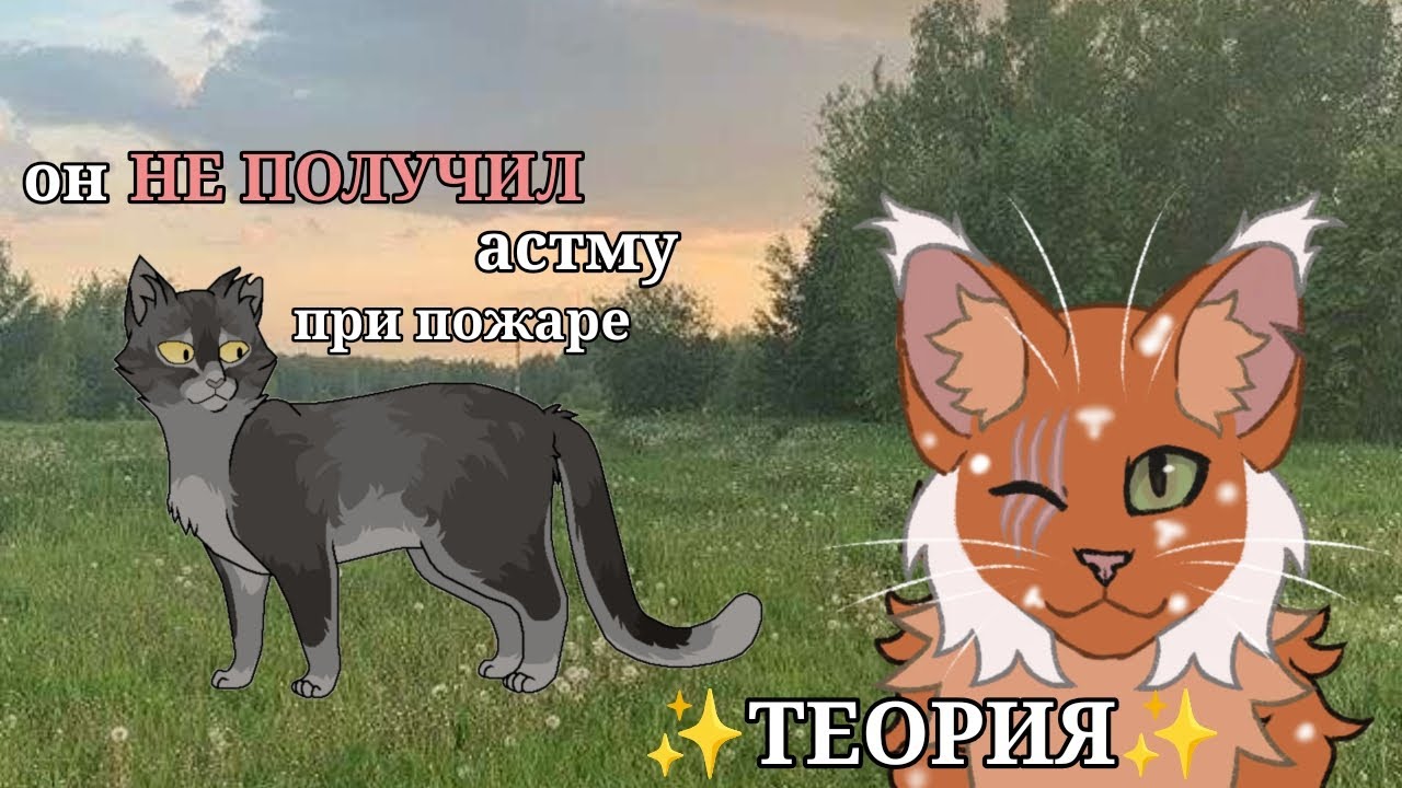 Что было, если Серое Крыло НЕ ПОЛУЧИЛ астму при пожаре? КВ теория 