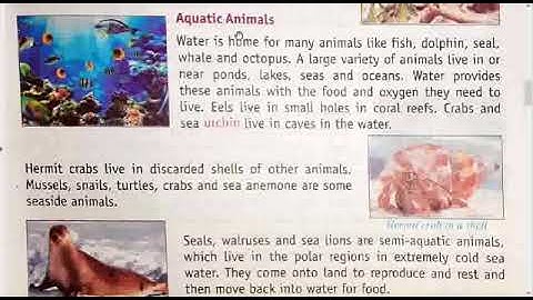 class 4 EVS Chapter 12 part 2