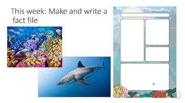 Reception Writing Week 4  -Lesson 2 Fact Files