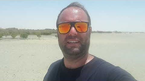 Mangrove drone planting site assessment - Project Description