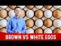 Brown Eggs vs White Eggs – Which Are Healthier? – Dr.Berg