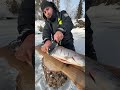 Fishing with Cook🔥 #fishing #cooking #survival #carpfishing #food