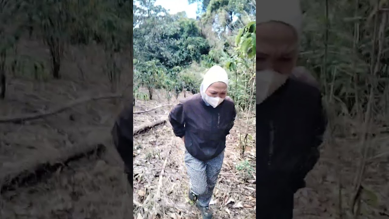 Dẫn khách Việt Nam đi xem đất nông nghiệp 5 ha, dự tính trồng cà phê và chanh dây 