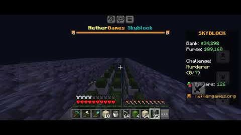 the biggest cactus farm is in progress|| nethergames skyblock s5